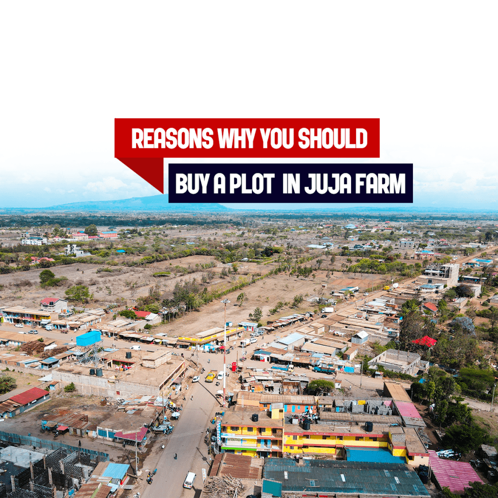 Reasons Why You Should Buy A Plot in Juja Farm Zenawi Real Estate