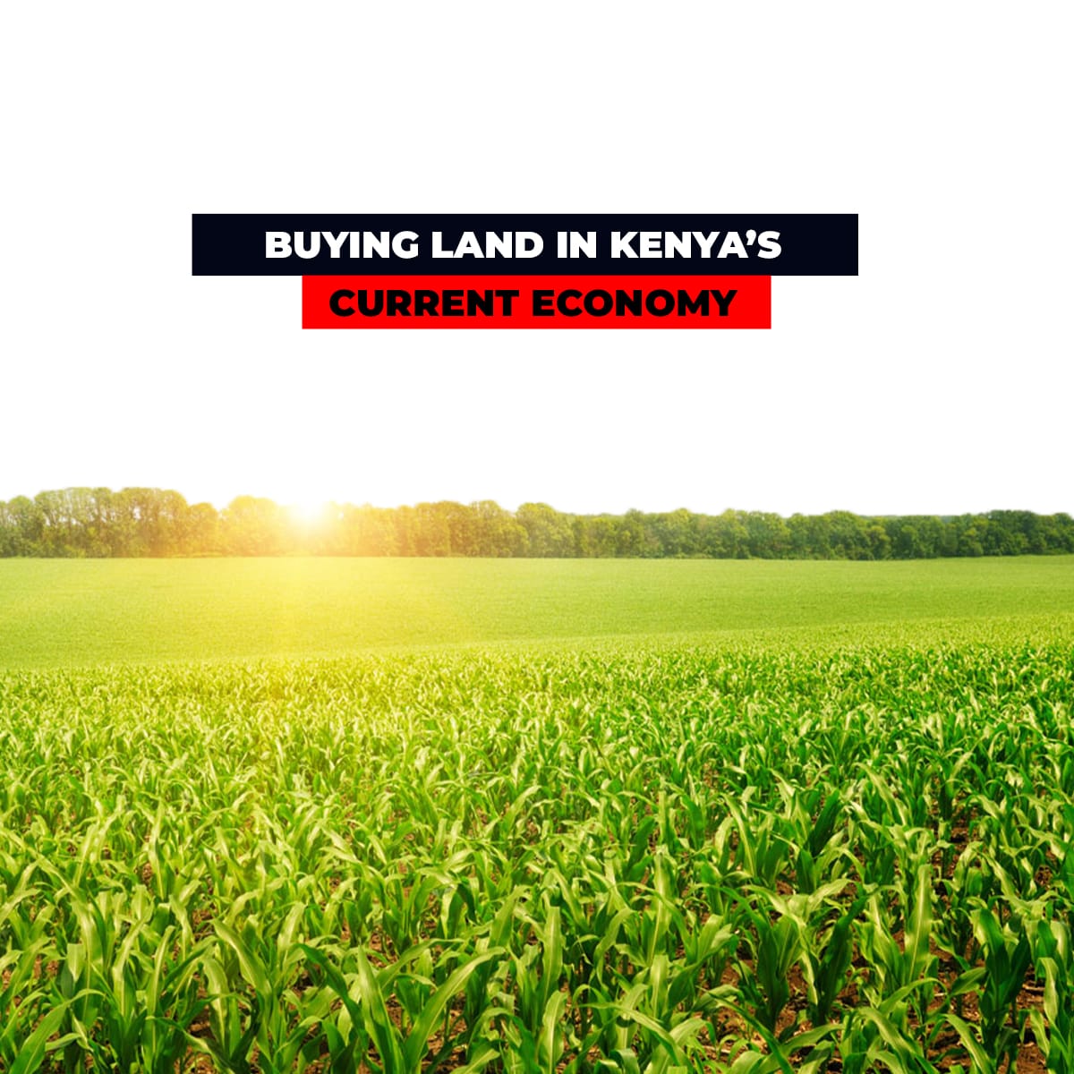 Buying land in Kenya's Current Economy